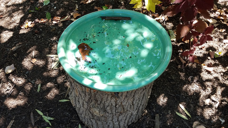 diy tree stump birdbath