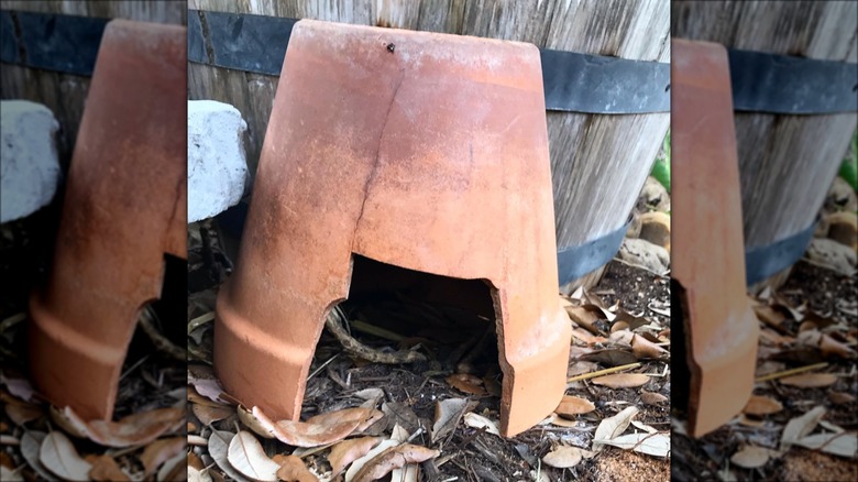 terracotta pot toad house