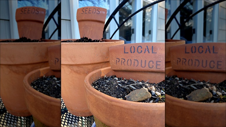 terracotta plant markers in pots