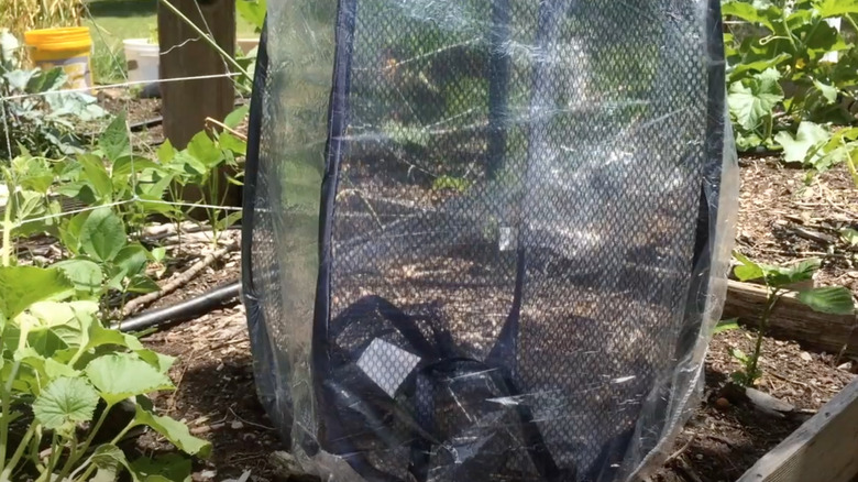 mesh plant cover with plastic