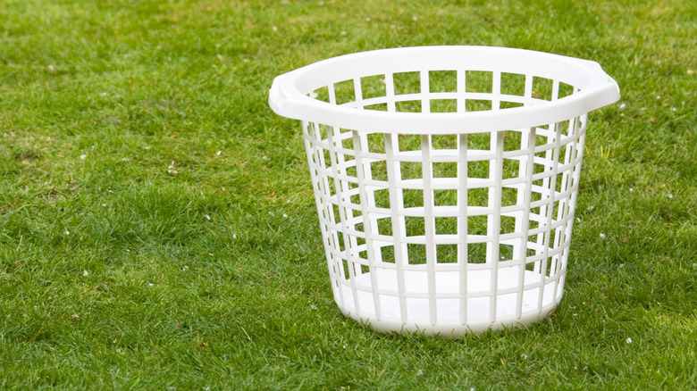 plastic laundry basket on grass