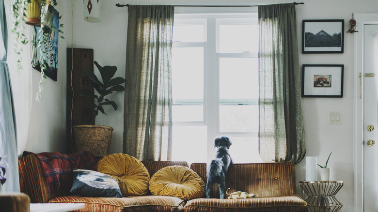 White living room with sheer green curtains.