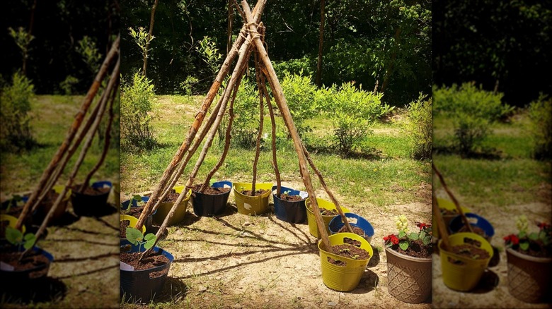 trellis with ends in buckets