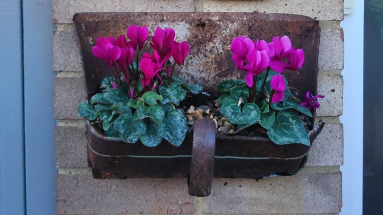 dustpan planter