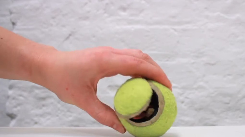 Hand holding a tennis ball cut to hold treats