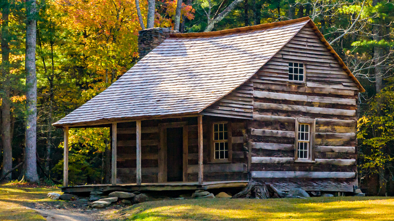 log cabin roof