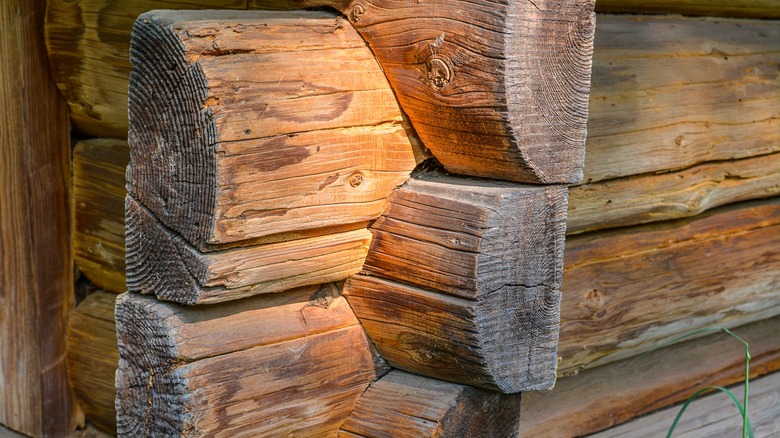 logs for a cabin connected