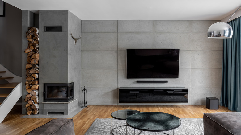 Modern concrete walls living room