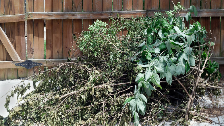 pile of yard debris