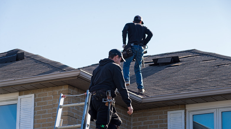 contractors climbing on roof with ladder