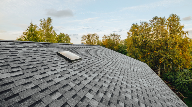 gray shingles on roof