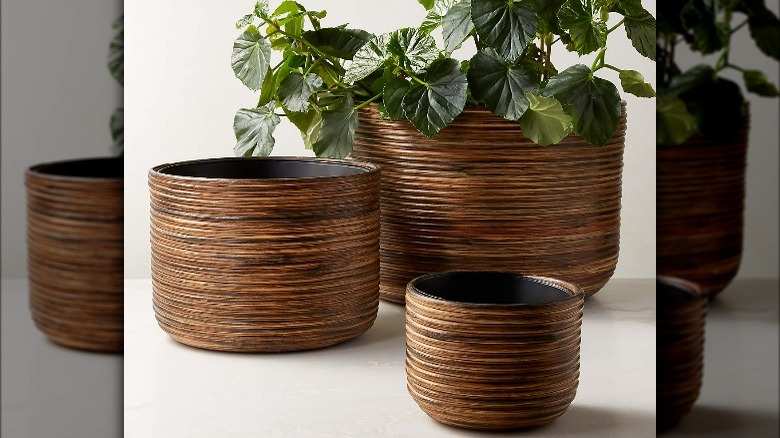 CB2 Burnt Rattan Planters