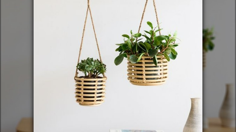 West Elm Hanging Planters