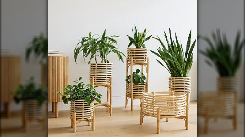 West Elm Adobe Rattan Planters