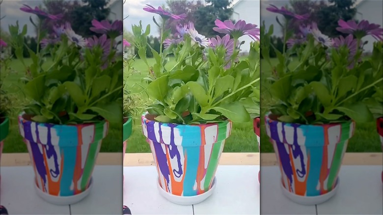 colorful outdoor flower pot