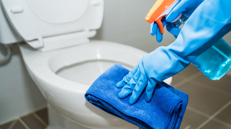 person wiping toilet seat