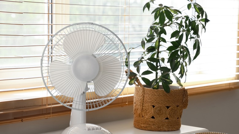 A tabletop fan next to a potted houseplant