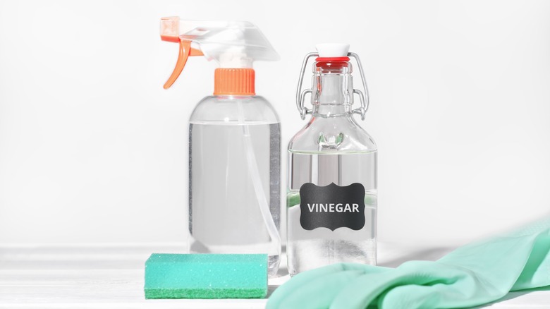 vinegar in spray bottle