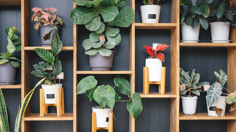 wall of artificial plants