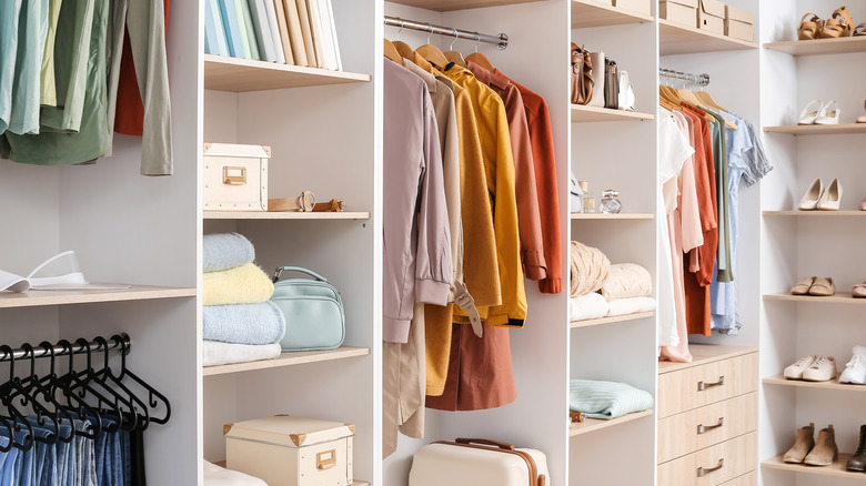 closet with ample storage