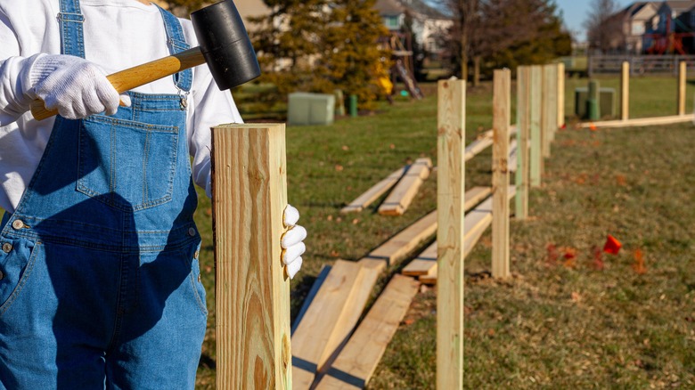 person installing wood fence posts