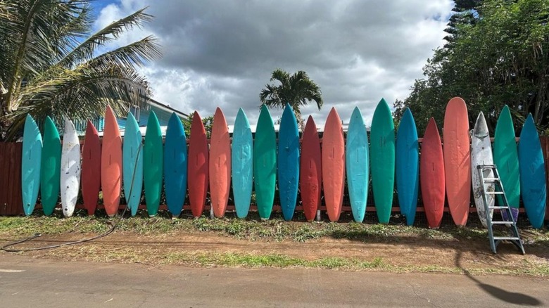 teal and red surfboard fence