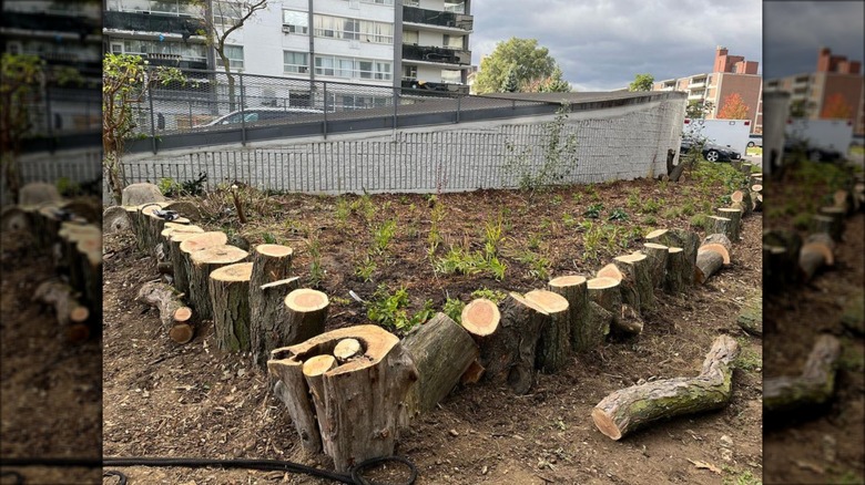 tree stump fence