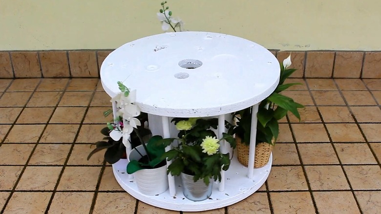 potted plants on wooden cable spool