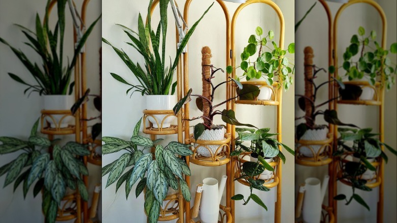 Rattan plant stand