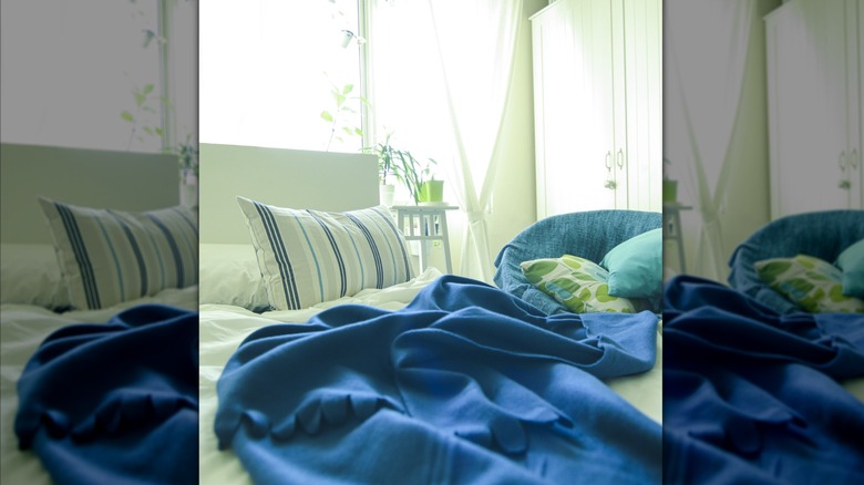 Navy bedding in sage bedroom