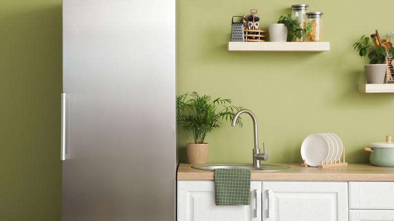 Kitchen with sage green walls and silver fixtures