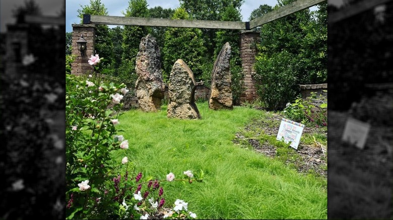 Garden area with buffalo grass