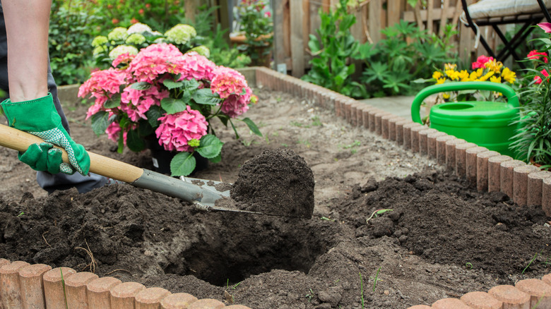 Hands shoveling dirt in garden bed