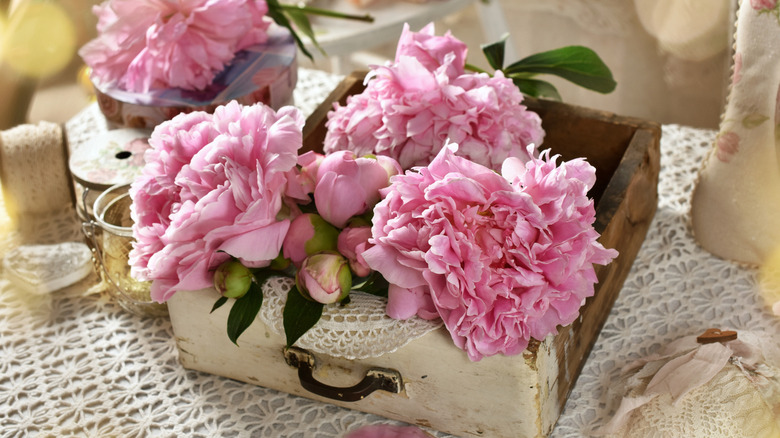 An old drawer in a table filled with pretty pink peonies