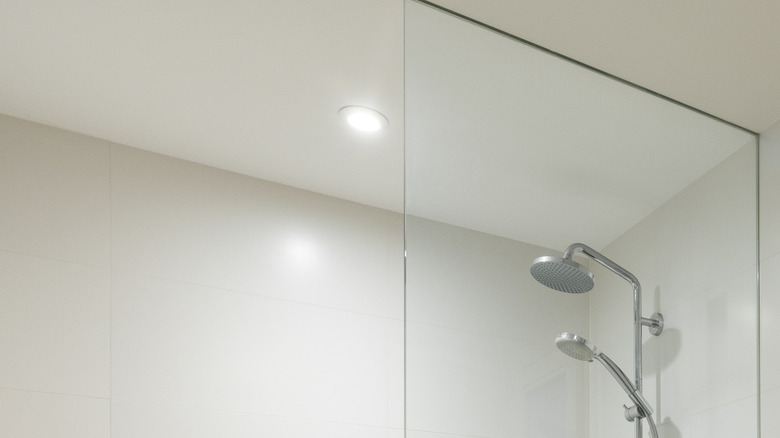 Shower with inset light above