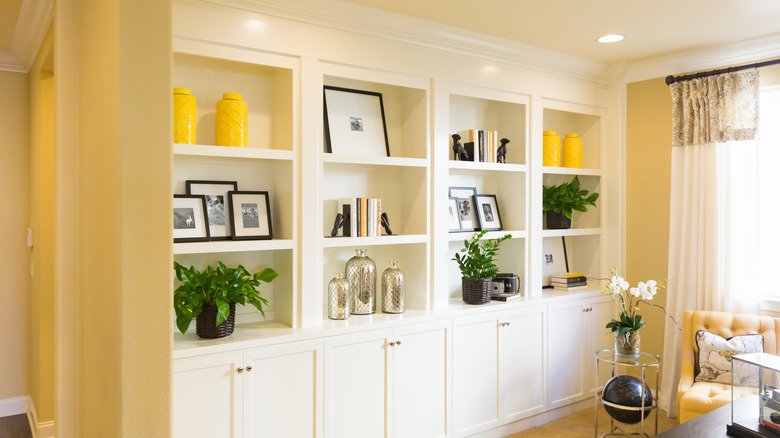 Custom Shelves and Cabinet Interior