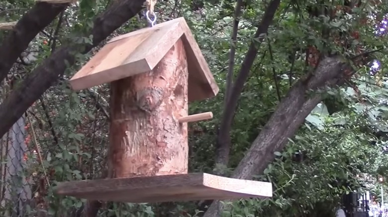 wood birdhouse hanging from tree