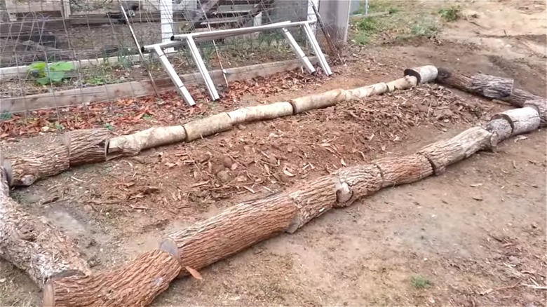 wood log raised garden beds
