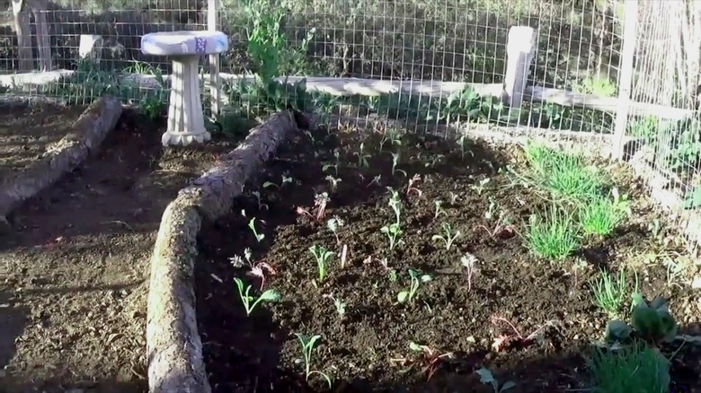 wood log garden edging