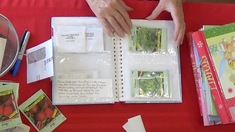 Seed packets in photo album