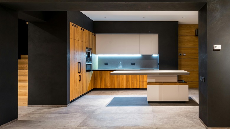 Ultra-modern kitchen