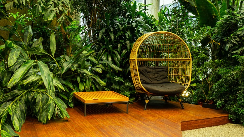 Bamboo chair in botanical room 
