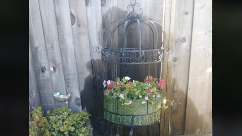 bird cage garden planter