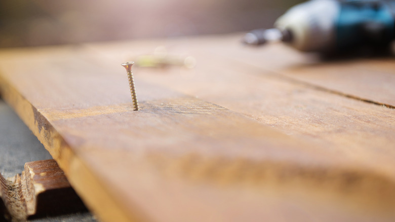 Screwing down floorboards to secure them