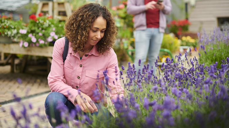 person shopping for lavender