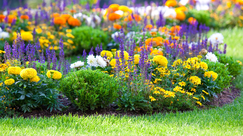 flower bed