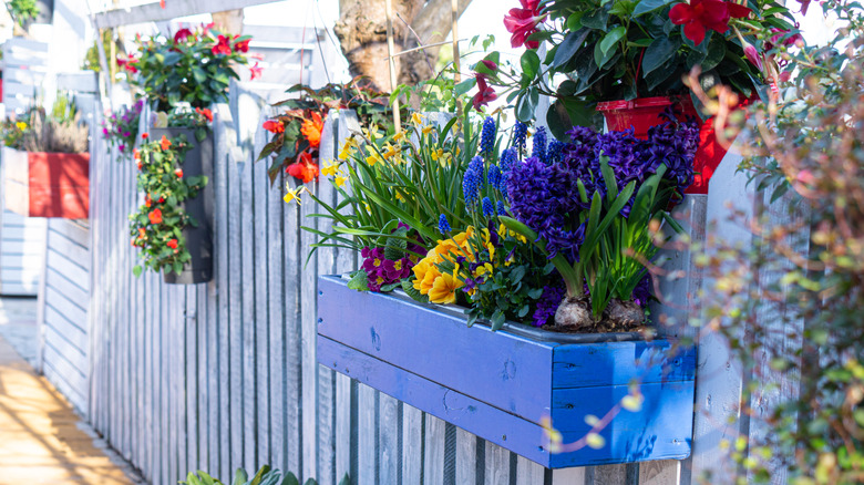 fence with flowers