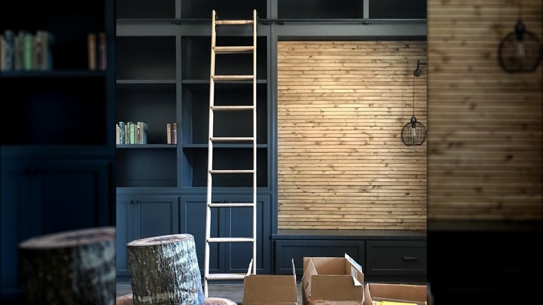 Book shelf with ladder