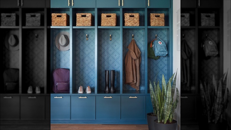 Blue colored cubbies and drawers