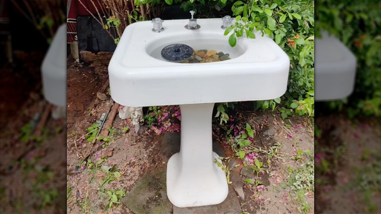 pedestal sink turned into birdbath